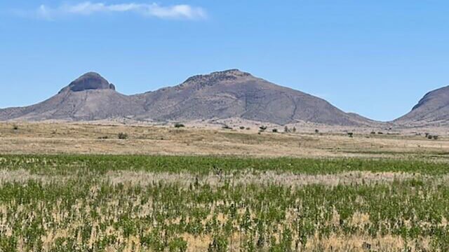 13+ Acres
