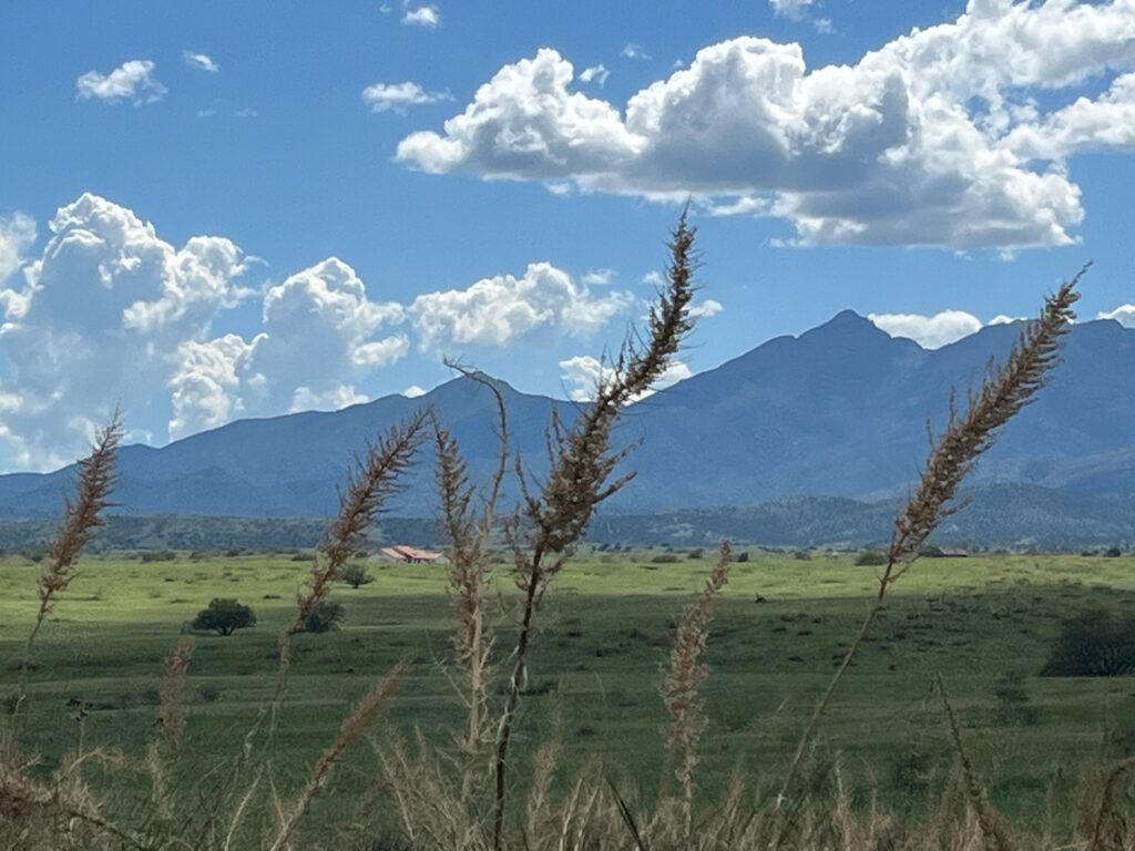 490 Acres 1