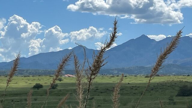 490 Acres 1