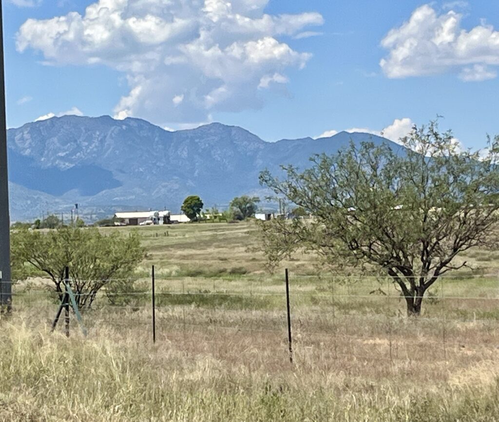 490 Acres 2