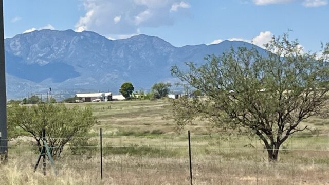 490 Acres 2