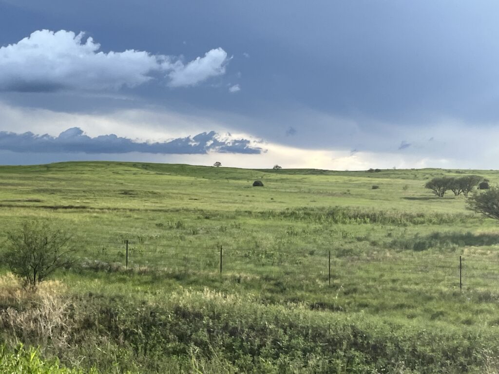 490 Acres 3