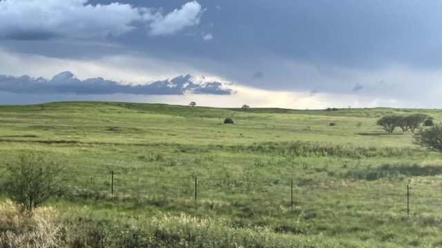 490 Acres 3