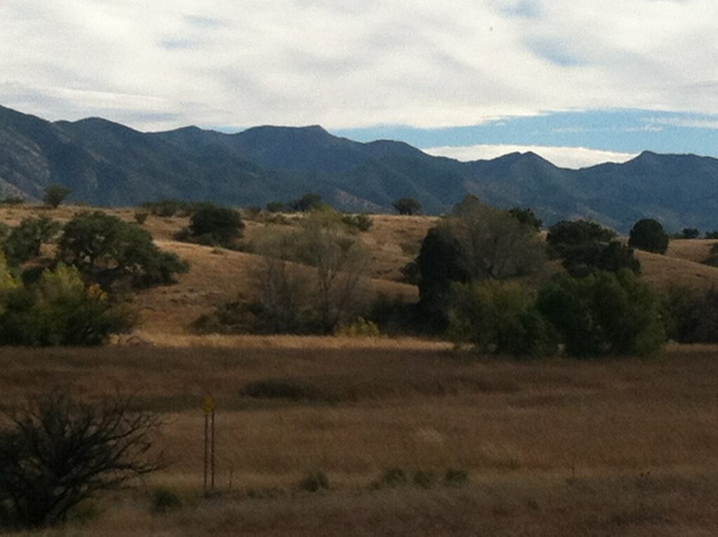 Ranch