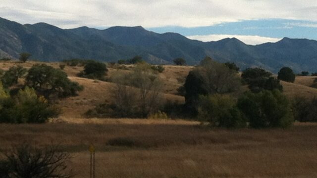 Ranch